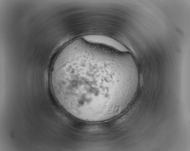 X0000116860349201001051429