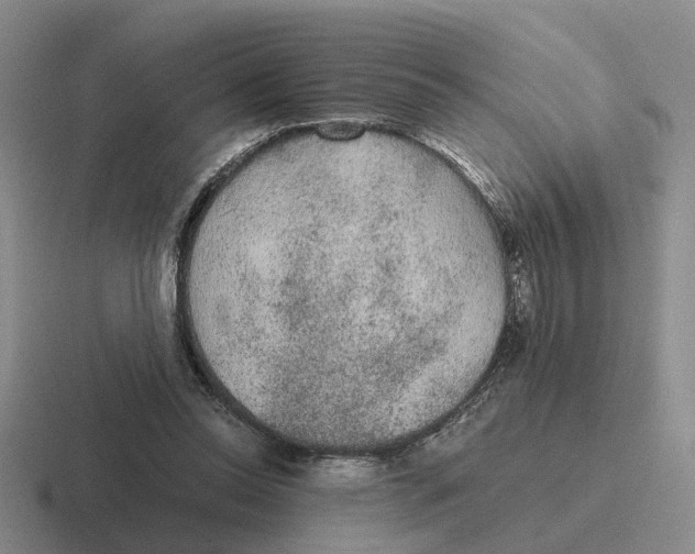 X0000116860350201001051429