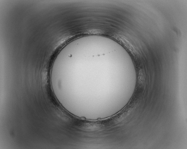 X0000116860351201001051429