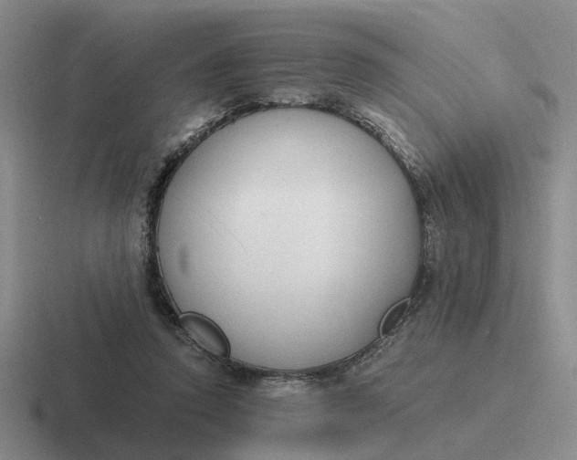 X0000116860354201001051429