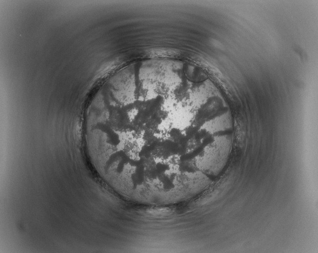 X0000116860357201001051429