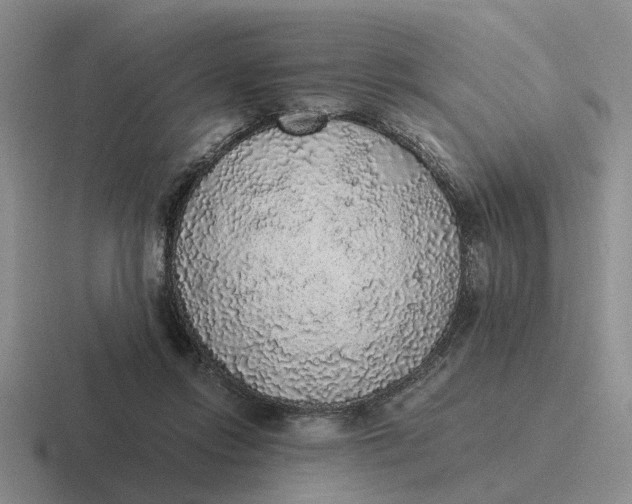 X0000116860358201001051429