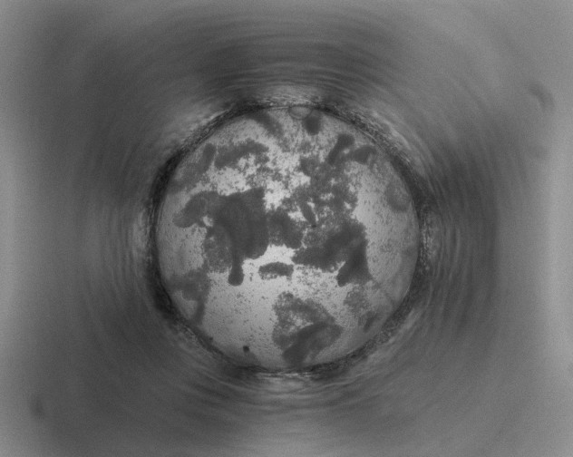 X0000116860359201001051429