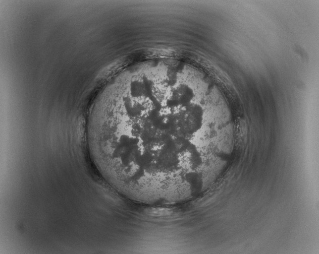 X0000116860361201001051429