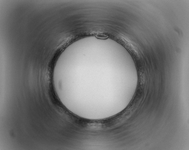 X0000116860362201001051429