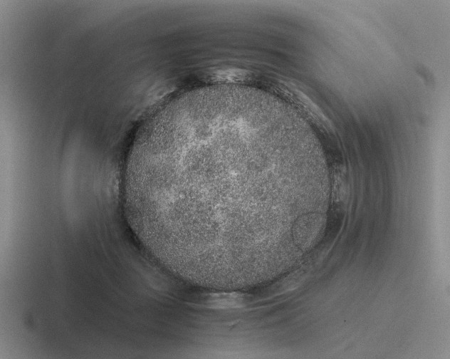 X0000116860363201001051429