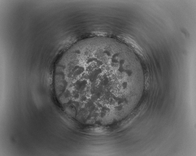 X0000116860365201001051429