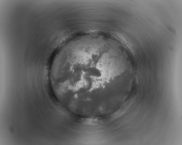 X0000116860366201001051429