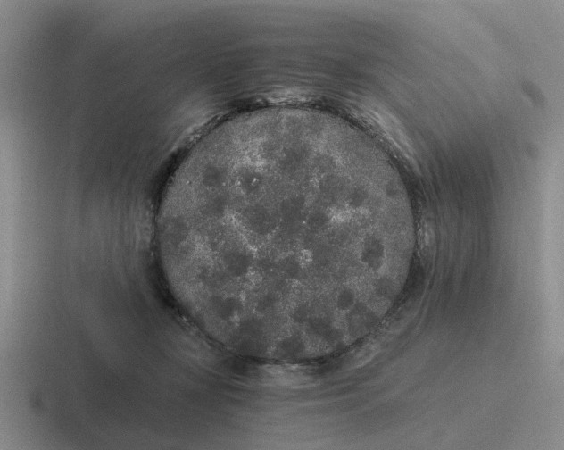 X0000116860367201001051429