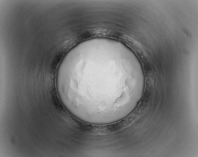 X0000116860369201001051429