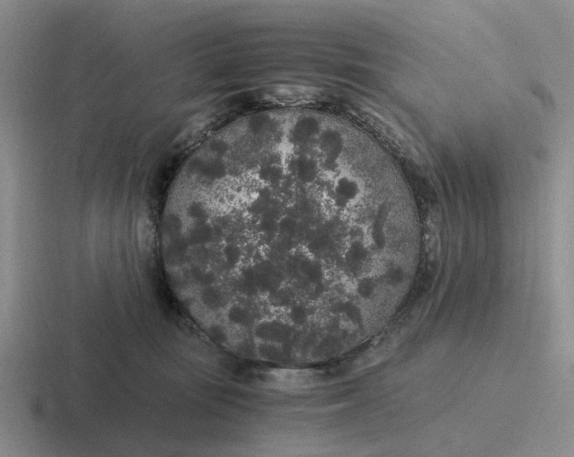 X0000116860371201001051429