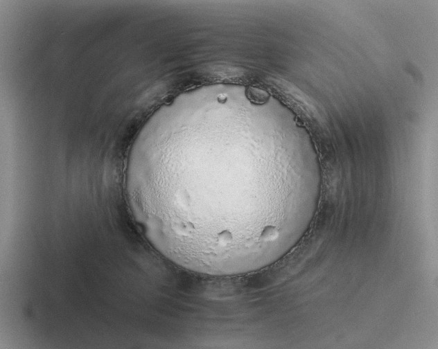 X0000116860373201001051429