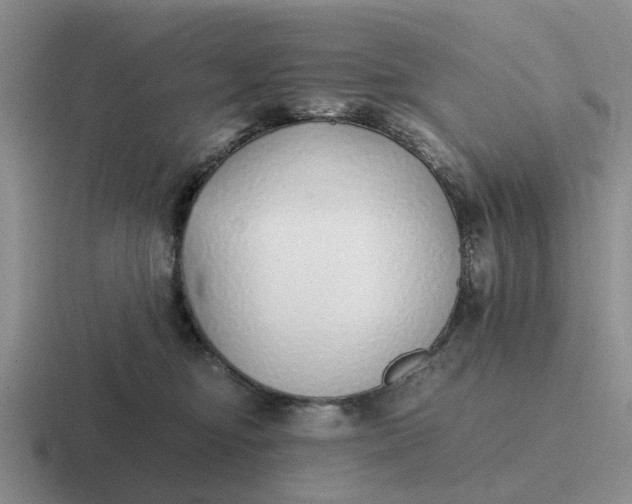 X0000116860374201001051429