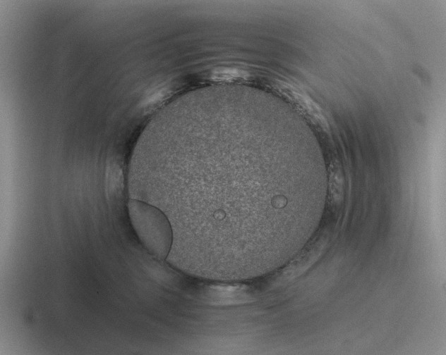 X0000116860375201001051429