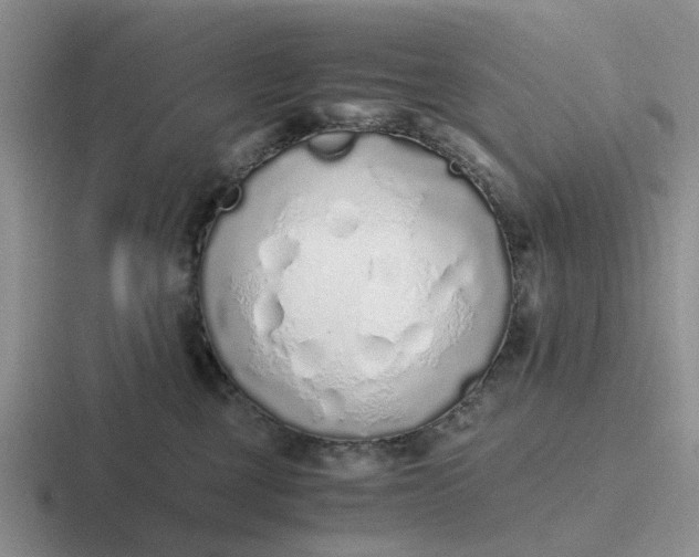 X0000116860377201001051429