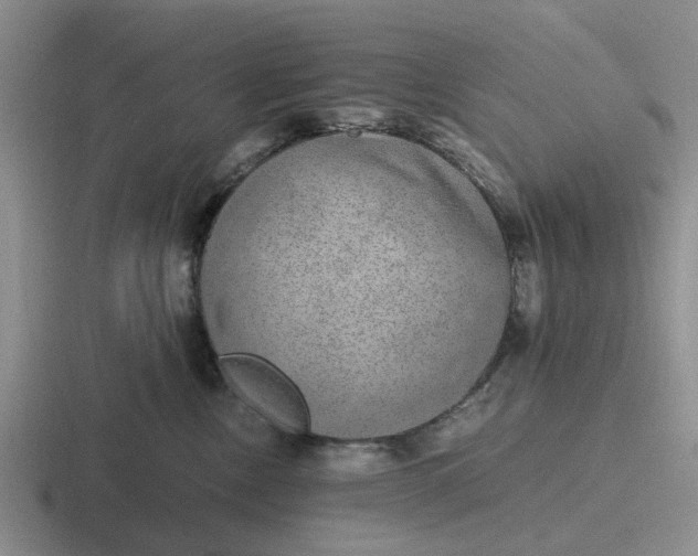 X0000116860378201001051429