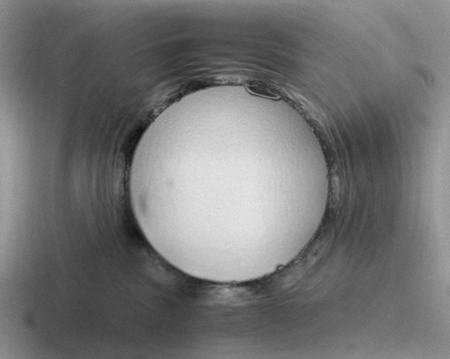 X0000116860379201001051429