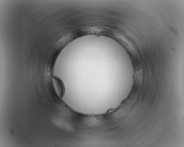 X0000116860381201001051429