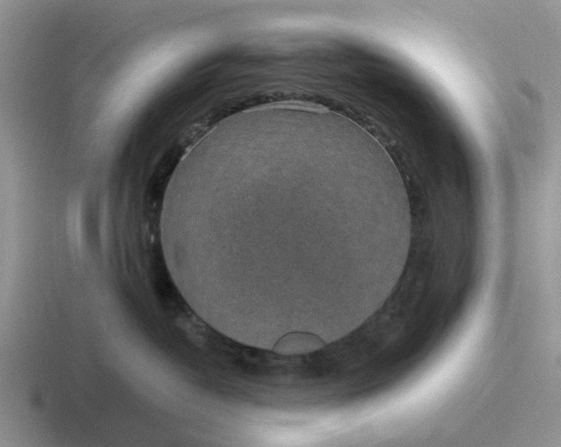 X0000116860382201001051429