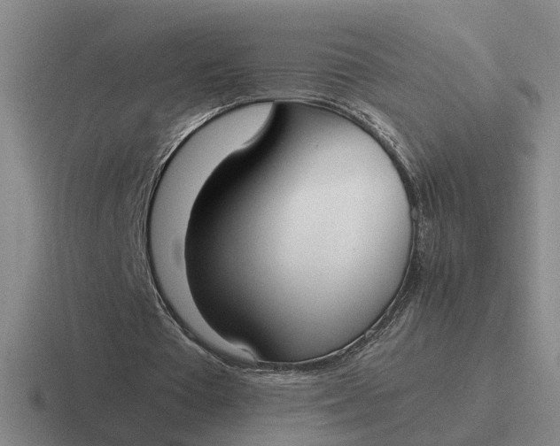 X0000116860385201001051429