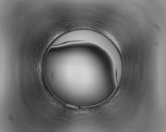 X0000116860386201001051429