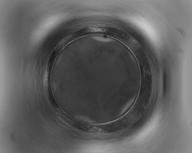 X0000116860387201001051429