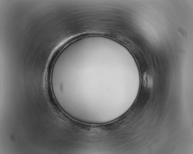 X0000116860388201001051429