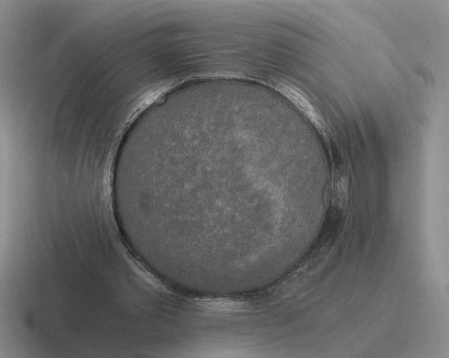 X0000116860389201001051429