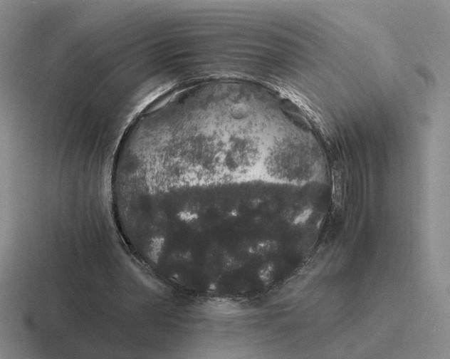 X0000116860390201001051429