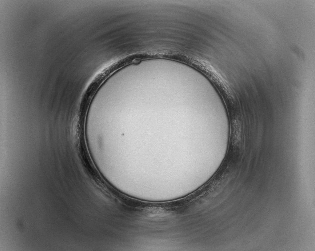 X0000116860392201001051429