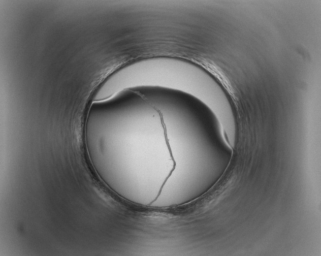 X0000116860393201001051429