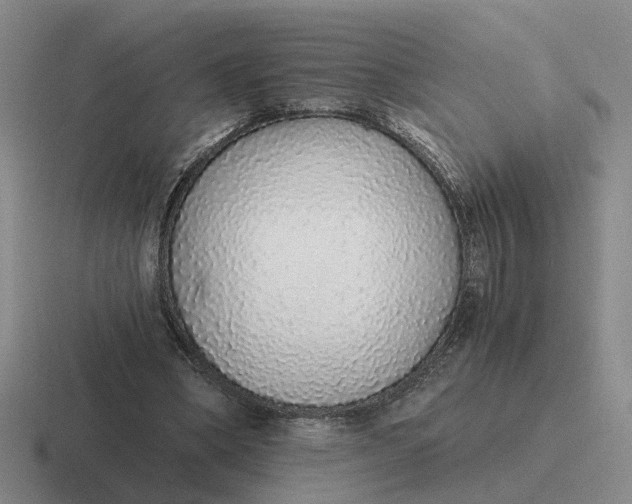 X0000116860394201001051429