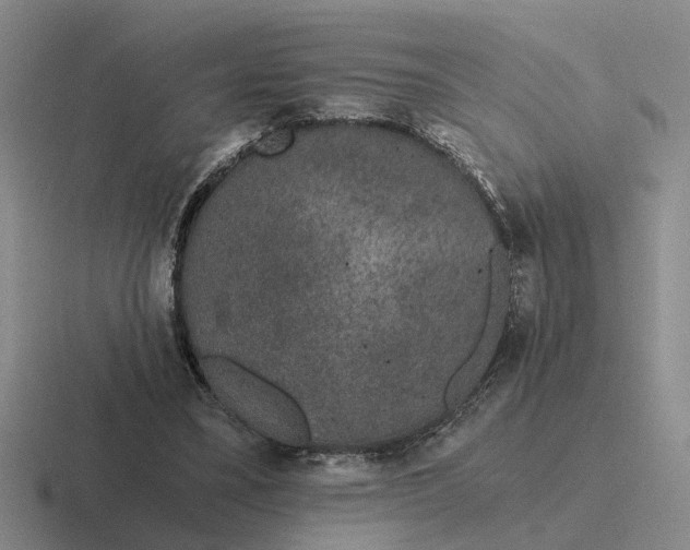 X0000116860395201001051429