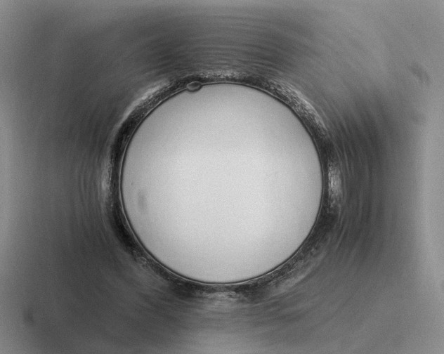 X0000116860396201001051429