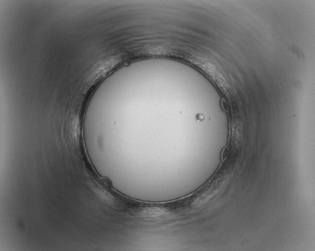 X0000116860397201001051429