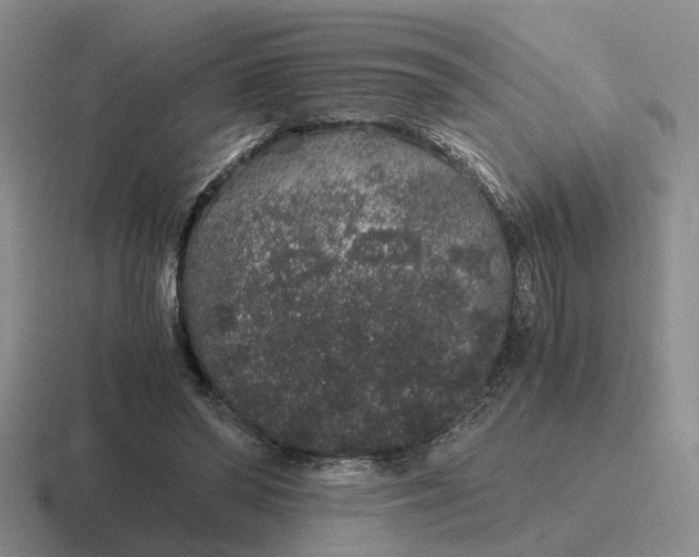 X0000116860398201001051429