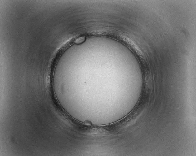 X0000116860399201001051429