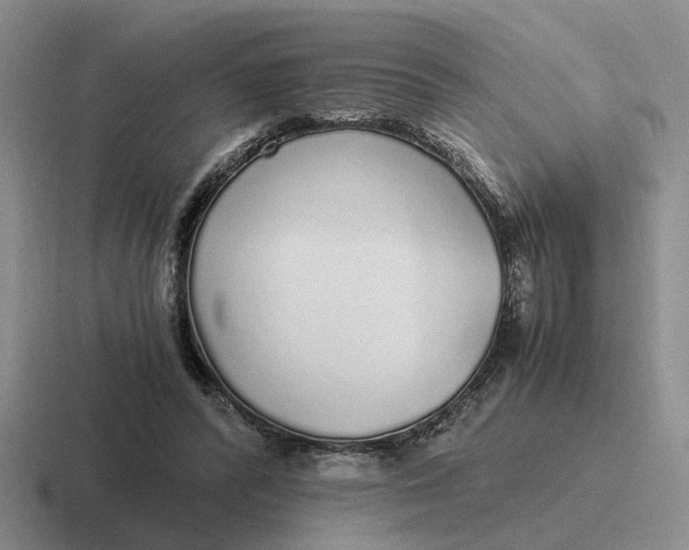 X0000116860400201001051429