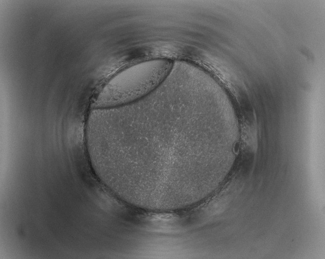 X0000116860401201001051429