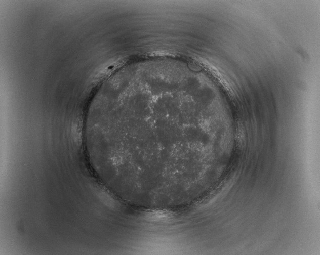 X0000116860402201001051429