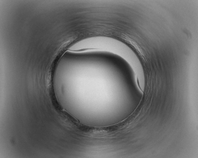 X0000116860403201001051429