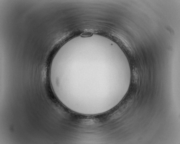 X0000116860404201001051429