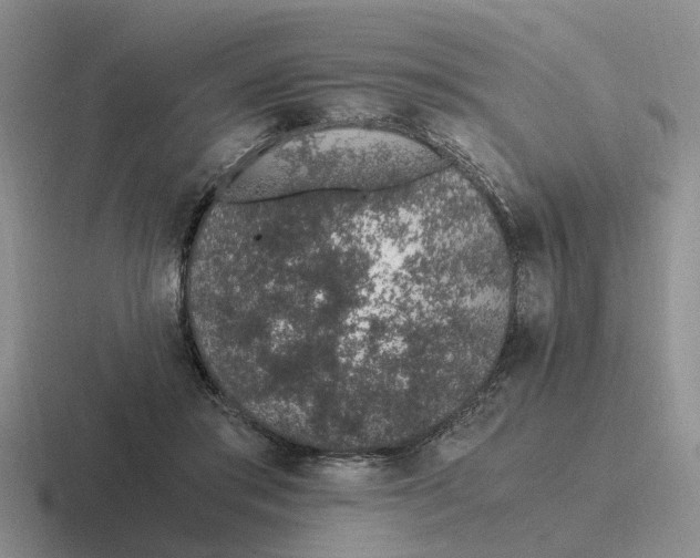 X0000116860405201001051429