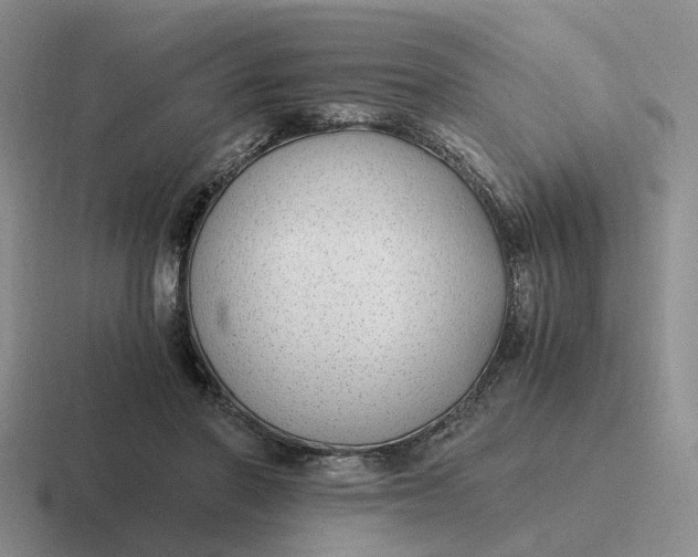 X0000116860406201001051429