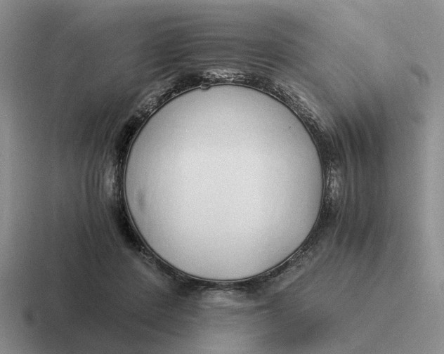 X0000116860408201001051429