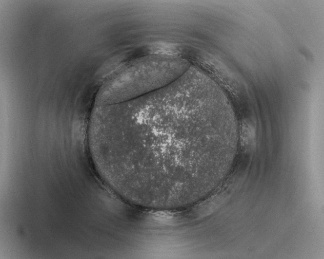 X0000116860409201001051429