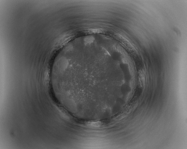 X0000116860410201001051429