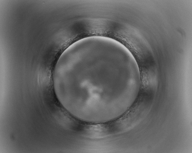 X0000116860411201001051429