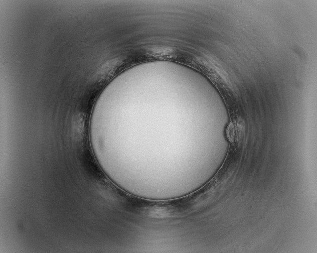 X0000116860412201001051428