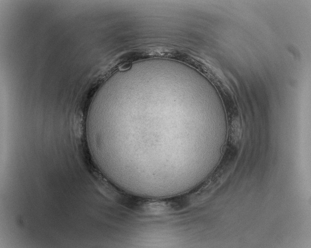 X0000116860413201001051428